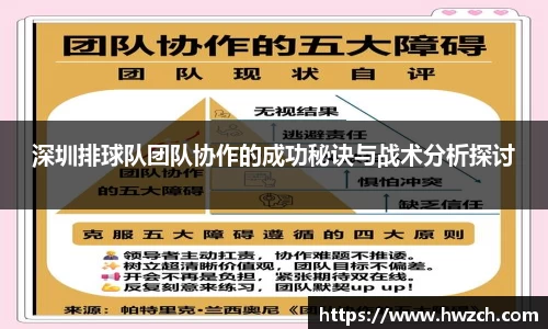 深圳排球队团队协作的成功秘诀与战术分析探讨